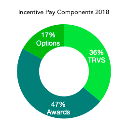 pie graph representing CFO salaries and incentive pay components including options, TRVS and Awards