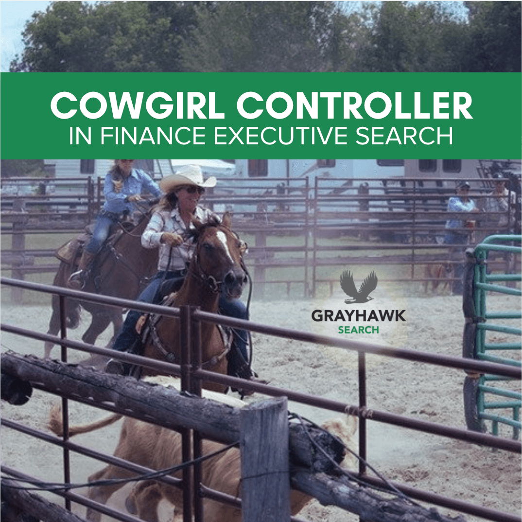 Key Controller Competencies GRAYHAWK SEARCH