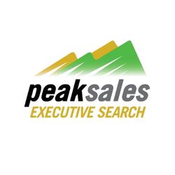 logo peaksalesexecutivesearch.com
